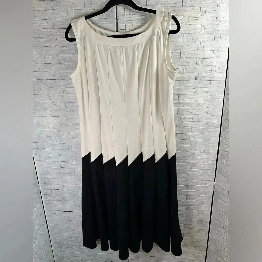 BLOOMING‎ ROSE  Black/White sleeveless dress, color block, minimalist career